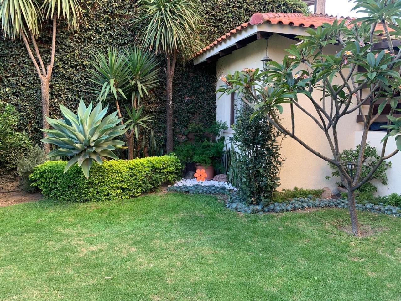 Apartamento Con Jardin Cochabamba Exteriör bild