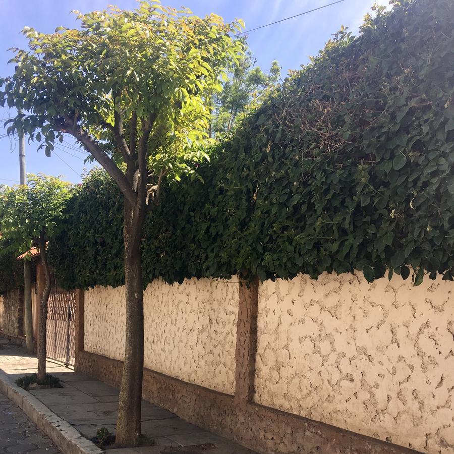 Apartamento Con Jardin Cochabamba Exteriör bild